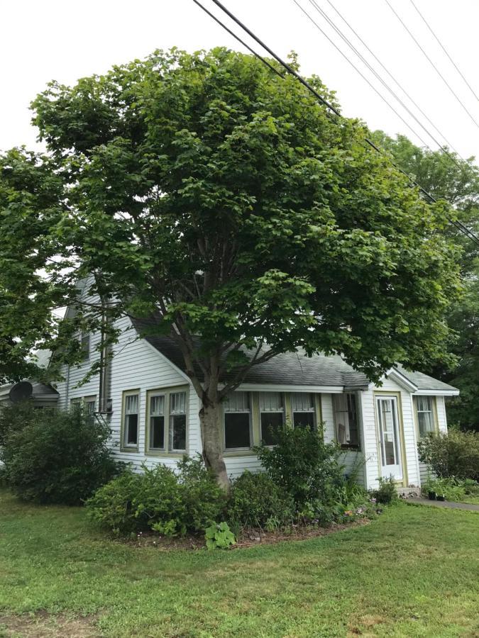 Studio 181 Bed & Breakfast Bed & Breakfast Port Clyde Bagian luar foto